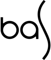 BAS Stone logo